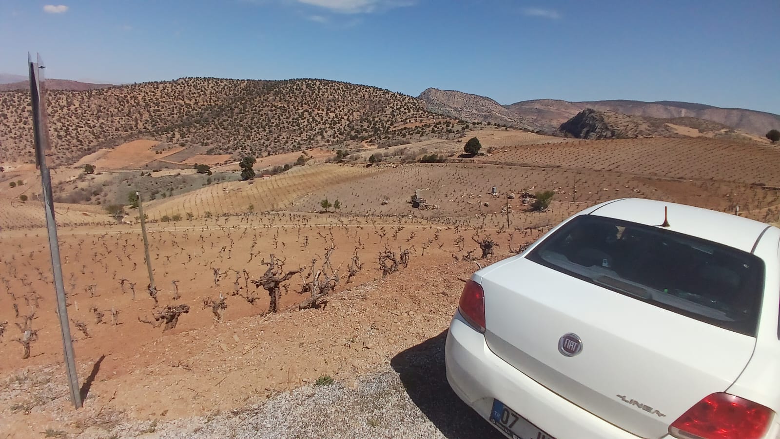 KONYA HADİM GÖYNÜKKIŞLA MAH. 1.595M² BAĞ SATILIKTIR - KONYA HADİM fotoğraf 12